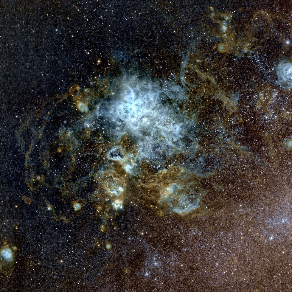 Tarantula Nebula NGC2070 Telescope Live